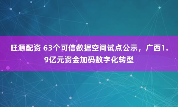 旺源配资 63个可信数据空间试点公示，广西1.9亿元资金加码数字化转型