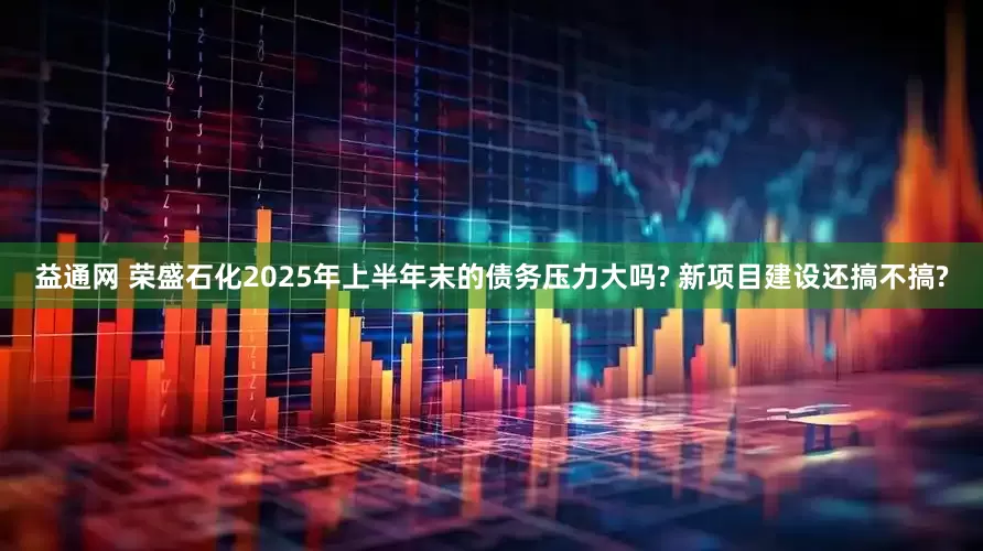 益通网 荣盛石化2025年上半年末的债务压力大吗? 新项目建设还搞不搞?