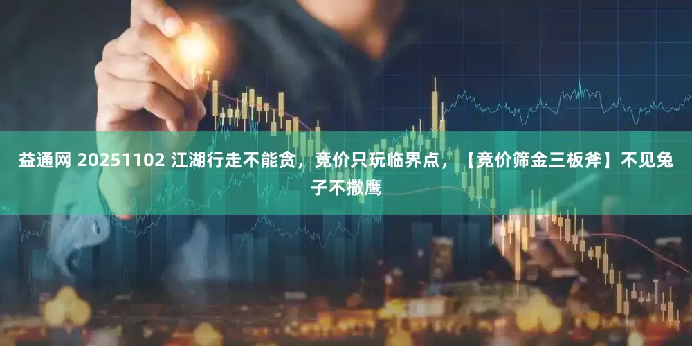 益通网 20251102 江湖行走不能贪，竞价只玩临界点，【竞价筛金三板斧】不见兔子不撒鹰